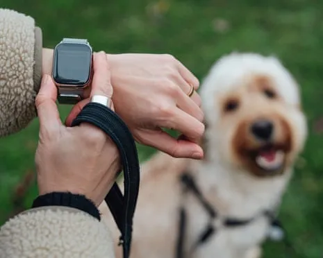 The Truth Concerning Wearable Tech? Living Improves Lacking a Hectoring Device on Your Arm